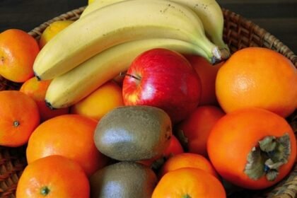 Fruticultura de Pernambuco bate recorde de exportações. Fruticultura de Pernambuco bate recorde de exportações.